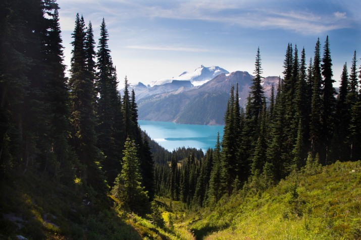 Therapy Massage Vancouver